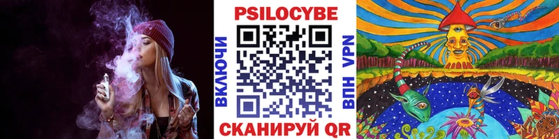 Галлюциногенные грибы Psilocybe Купить Горбатов